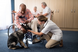 How an Emotional Support Animal Can Help You How an Emotional Support Animal Can Help You